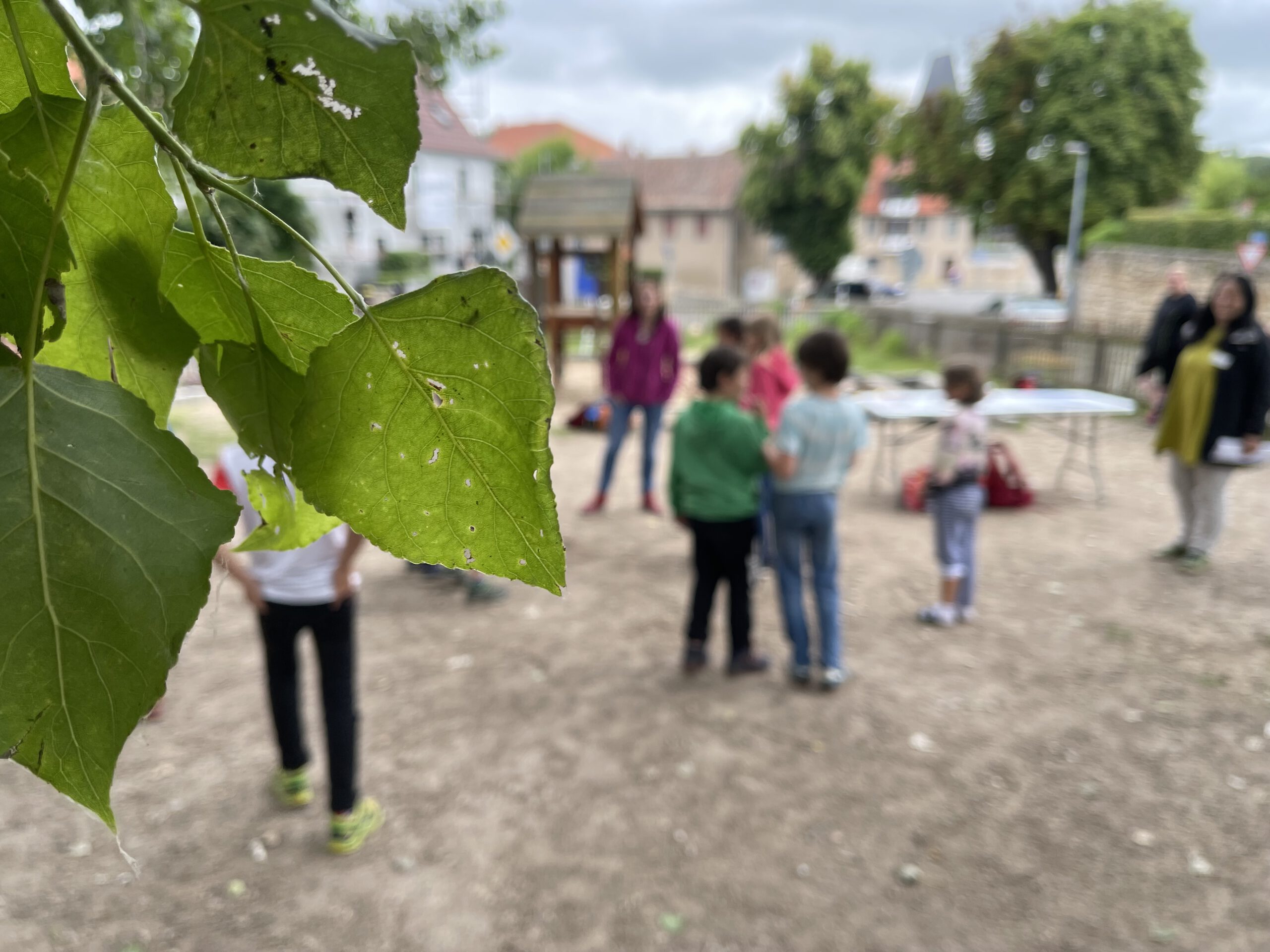 Aktuelle Bauma nahmen Ortsteilrat Oberweimar Ehringsdorf Aktuelle Bauma nahmen Ortsteilrat Oberweimar Ehringsdorf